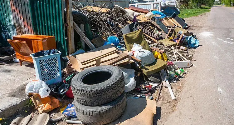 Tampa Junk Removal